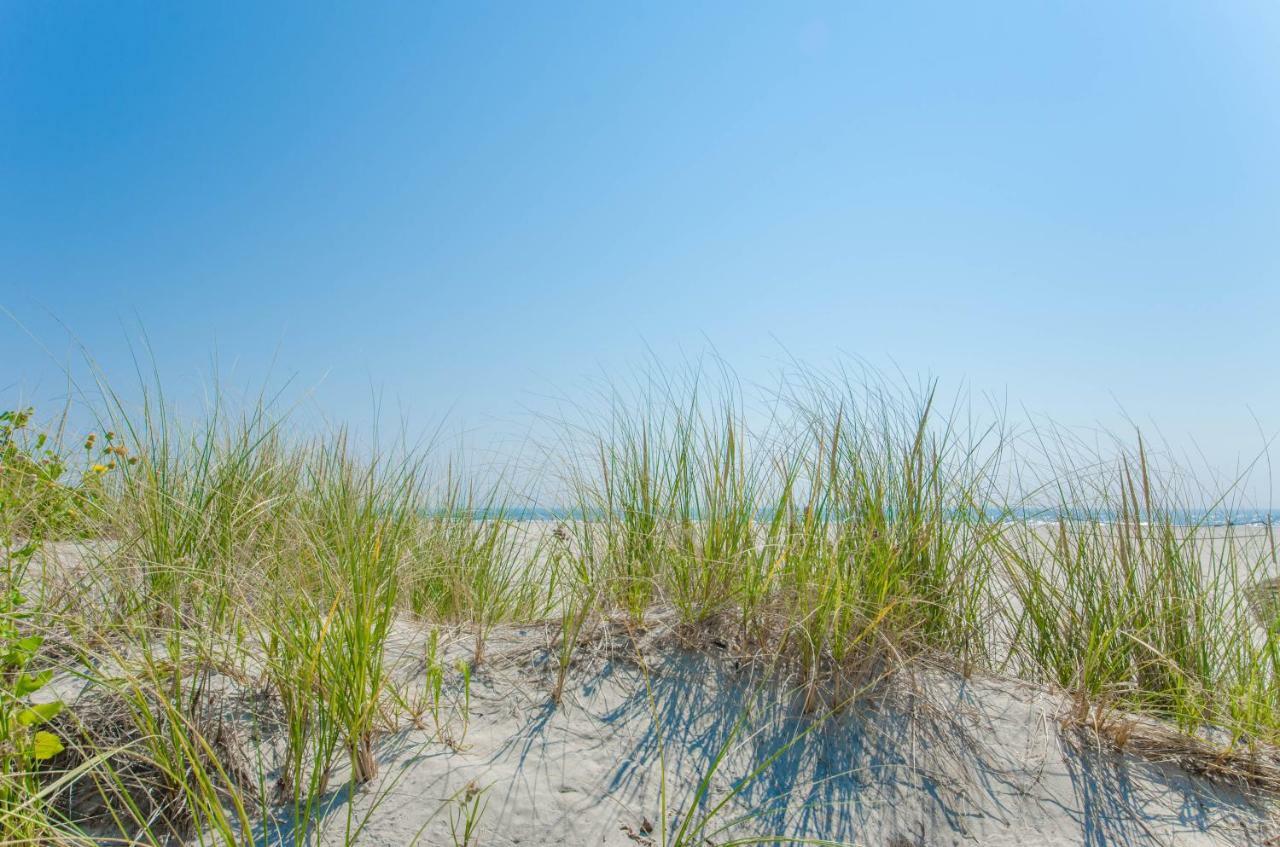 Icona Diamond Beach وايلدوود كريست المظهر الخارجي الصورة